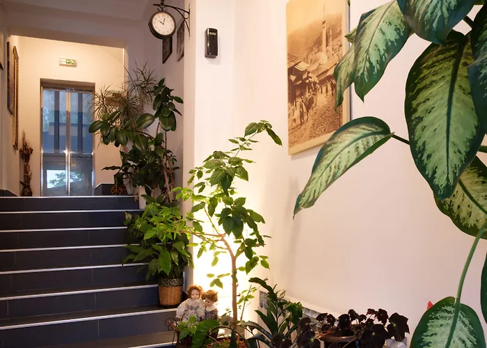 Guest house Harmony - Panoramic View & Free Parking